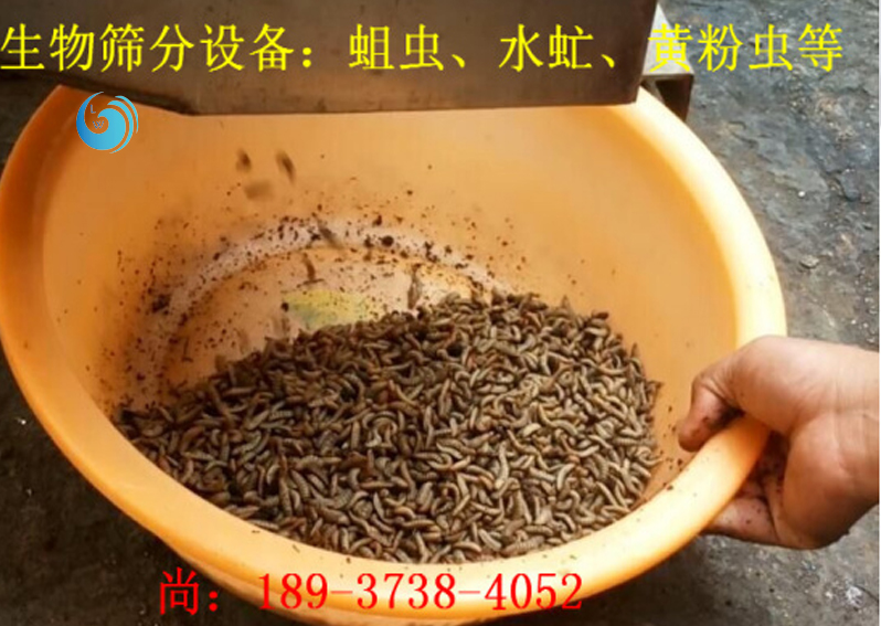 蛆蟲(chóng)分離篩選機(jī)